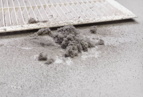 Best Home Air Vent Cleaning  in Ephrata, WA